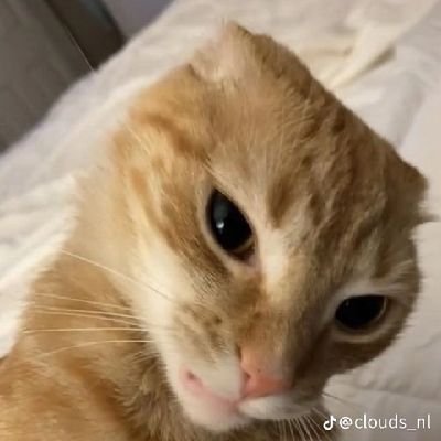 KlerSMVPG's profile picture. ~£verything €rystal