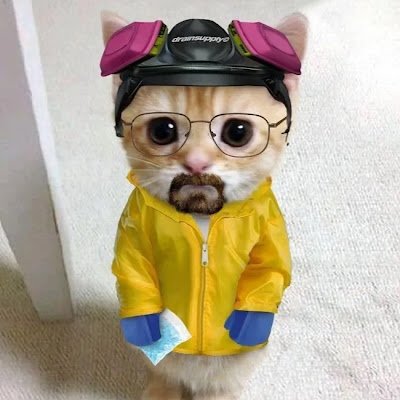 MiguelSesgo's profile picture. 