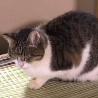 すのっぴ (@party_time_rm) 's Twitter Profile