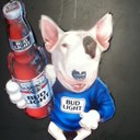 anthony galli - @GalliSud - Twitter