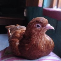 Myself_Sathi (@sathimyself) 's Twitter Profile