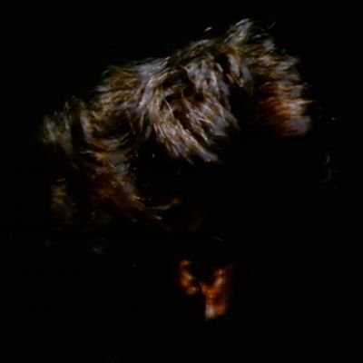 chiragsetia13's profile picture. 