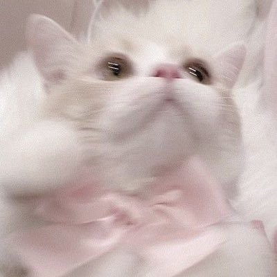 lili_zuz's profile picture. ばぶさん👼🏻🎀🤍