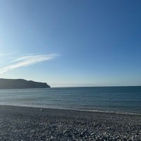 Mike Steel (@manofsteel73) 's Twitter Profile