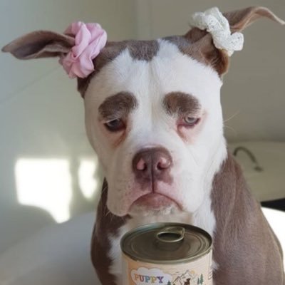 V3P1EexEn767313's profile picture. 神奈川に生息しているもうじきあらかんのおさーんです。近くの人仲良くして下され。冥土の土産に。趣味、料理（スイーツも）、釣り、ゴルフ、占い、カラオケ、アロマトリートメント、H。