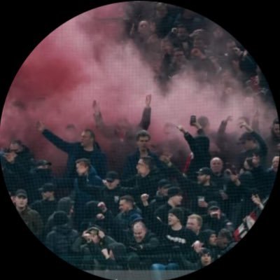 Gestelnaar's profile picture. PSV EHV