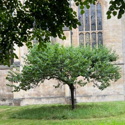 MuseLJJ's profile picture. Just do it