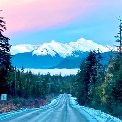 AWOL_in_AK's profile picture. Blind belief in authority is the greatest enemy of truth ~Albert Einstein