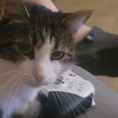 Fefur420's profile picture. I'm a US citizen that believes in the constitution.