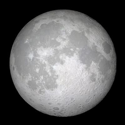 wuxiuwuxiu's profile picture. 