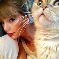 (Taylor’s version) (@taylors_vers_) 's Twitter Profile
