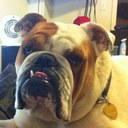 Robert Kifer - @mountaindewski - Twitter