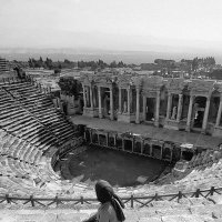 🌵 (@janyaa_9) Twitter profile photo