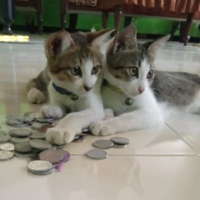 ennalfhh52840's profile picture. 