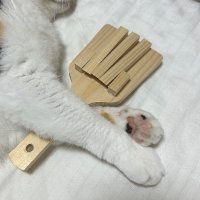 そう (@so_saurus) 's Twitter Profile