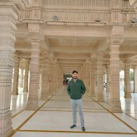 dr.Rakesh Pareek (@rakeshpare48386) 's Twitter Profile