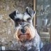 Gemma Keay-Williams (@gemkw3003) Twitter profile photo Gemma Keay-Williams (@gemkw3003) Twitter profile photo