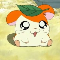 모해 (@m0hxe1122) 's Twitter Profile Photo