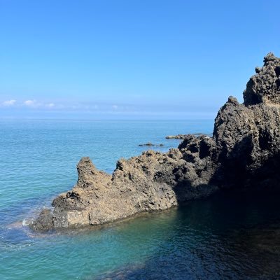 sharoben5555's profile picture. 2022 お試し受験                                           2023 予備校通い始めて受験も割れ複数         2024 時間取れずに今ひとつ                          2025 勉強の戦略検討して次こそ！