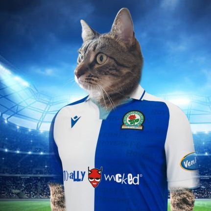 MattYarwood1984's profile picture. 