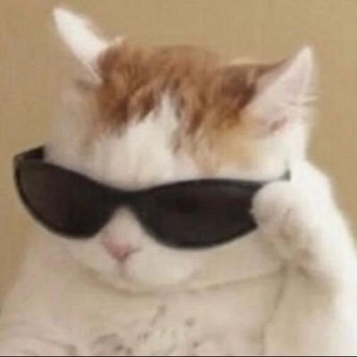 도담さんのプロフィール画像