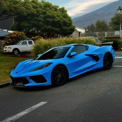 TheoLidec's profile picture. It's all a show. Everything is fake.