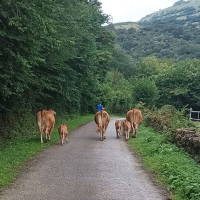 estorneja1975's profile picture. 