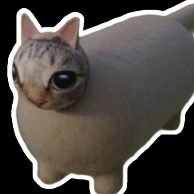 kame931017's profile picture. 