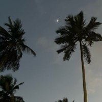 • (@theraiiny) Twitter profile photo