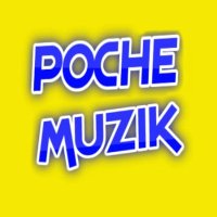 Pochemuzik (@pochemuzik) 's Twitter Profile Photo