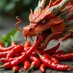 Dragon Cayenne (@dragoncayenne) Twitter profile photo Dragon Cayenne (@dragoncayenne) Twitter profile photo