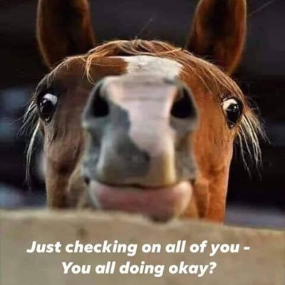 TracyFark's profile picture. 