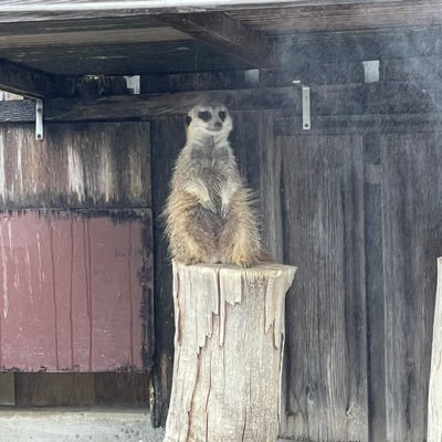 NA_eNu_AN's profile picture. 