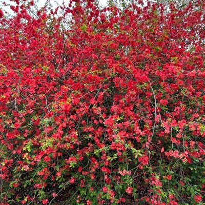 moonriver20211's profile picture. 