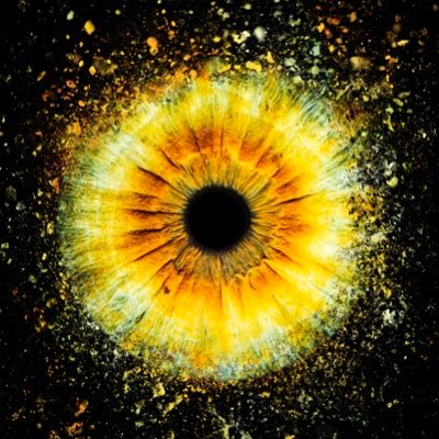 siriusmcstar's profile picture. Blockchain is the future of secure and transparent transactions. $TEL $TRIAS $VELO $HBAR $XRP $VET $DFX $FBG $PANO $MBD