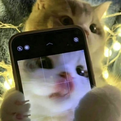 meme_zn's profile picture. 