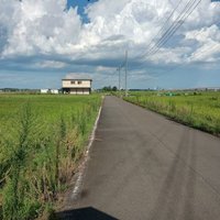 知らない道(未知)を歩く (@shiranai_mich1) 's Twitter Profile