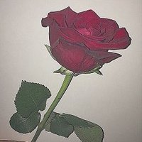 あ (@15aa893912) 's Twitter Profile