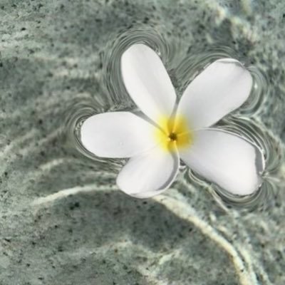 usernamedsab's profile picture. hellur!