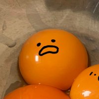 すしだ (@shidandandadan) Twitter profile photo