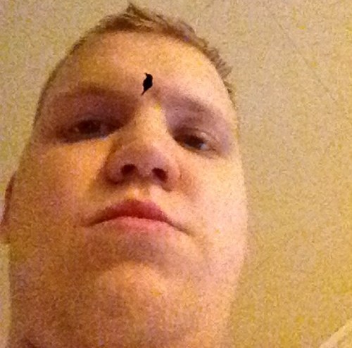 lilleosvald's profile picture. 