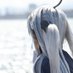 いしころ (@_i4co6_) Twitter profile photo いしころ (@_i4co6_) Twitter profile photo