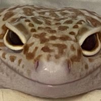 おまめ (@hassakumikanr) 's Twitter Profile