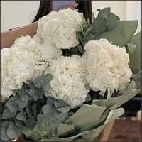 Tithare (@tithare8sfo) 's Twitter Profile