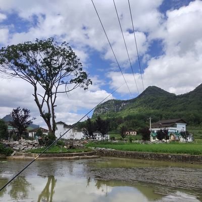 jilu855447131's profile picture. 空空如也