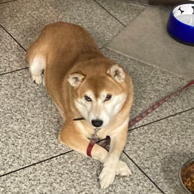 jpy6CEaXdV30417's profile picture. プロジェクトです