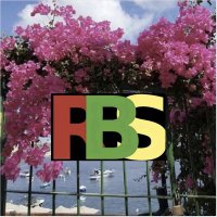 Raymond B. Steinmetz (@raymonds_towers) 's Twitter Profile