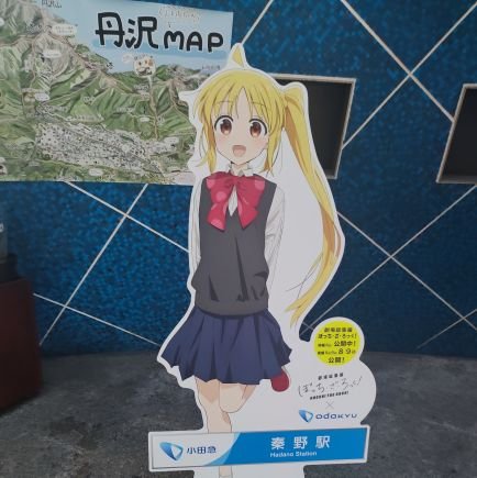 ひるぶし HiruBusiさんのプロフィール画像