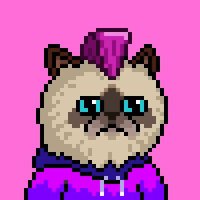 Mar 😼⚡️ (@marrobbani) 's Twitter Profile Photo Mar 😼⚡️ (@marrobbani) 's Twitter Profile Photo