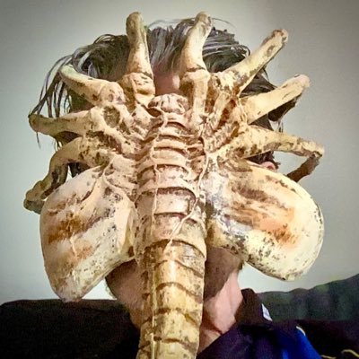 Peter Vroegop π Profile